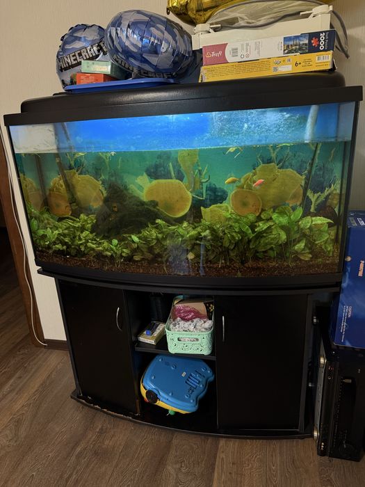 Продам акваріум, рибки, компресор