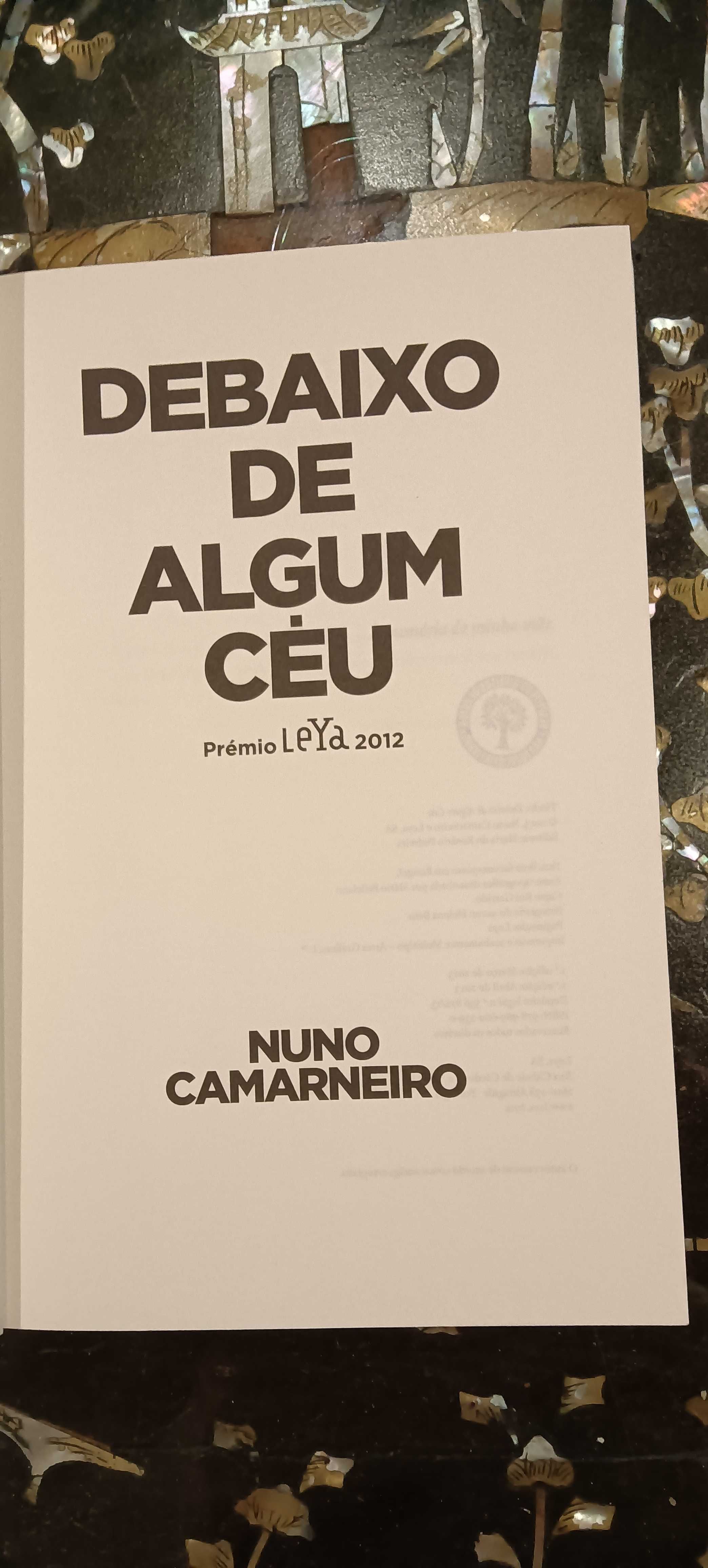 Debaixo de Algum Céu de Nuno Camarneiro