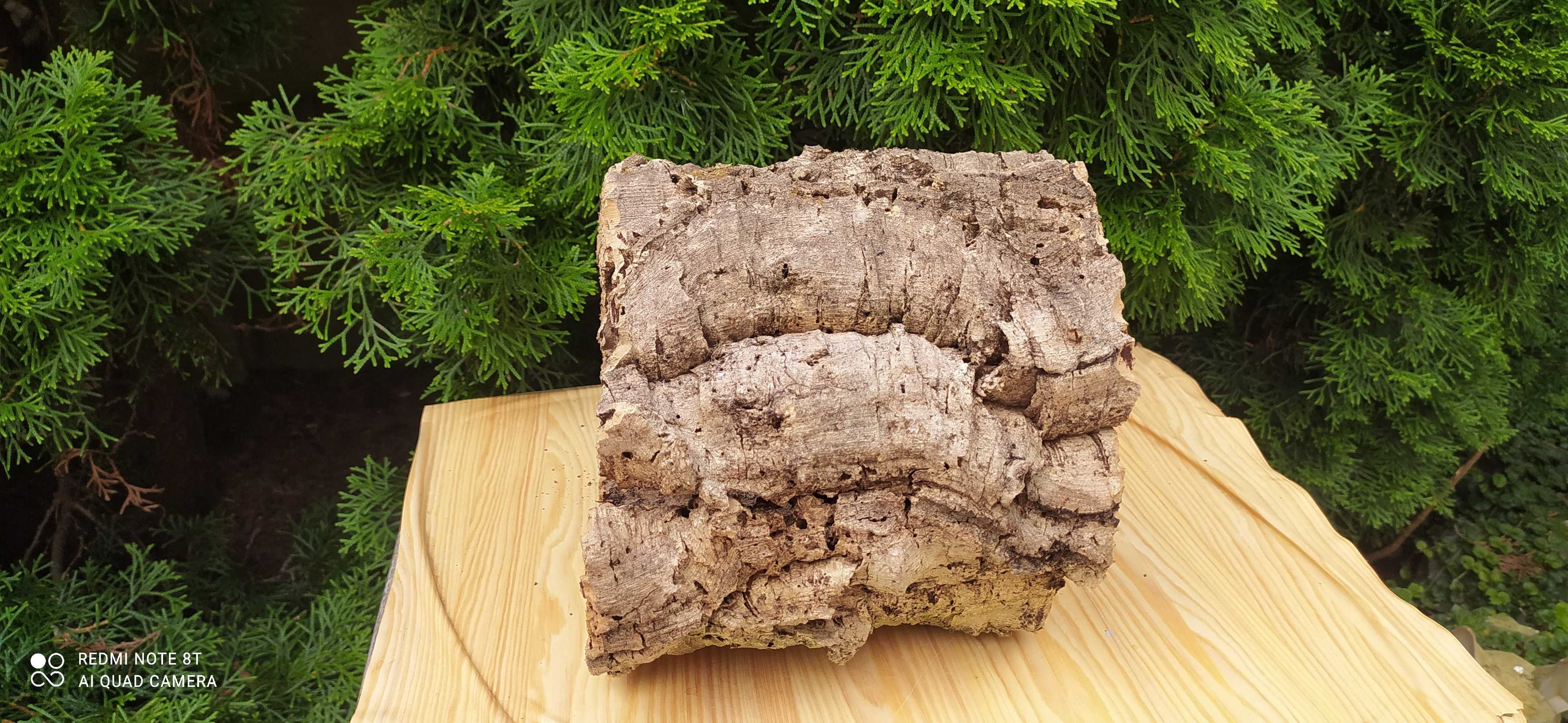 Grota z debu korkowego do akwarium-21 cm