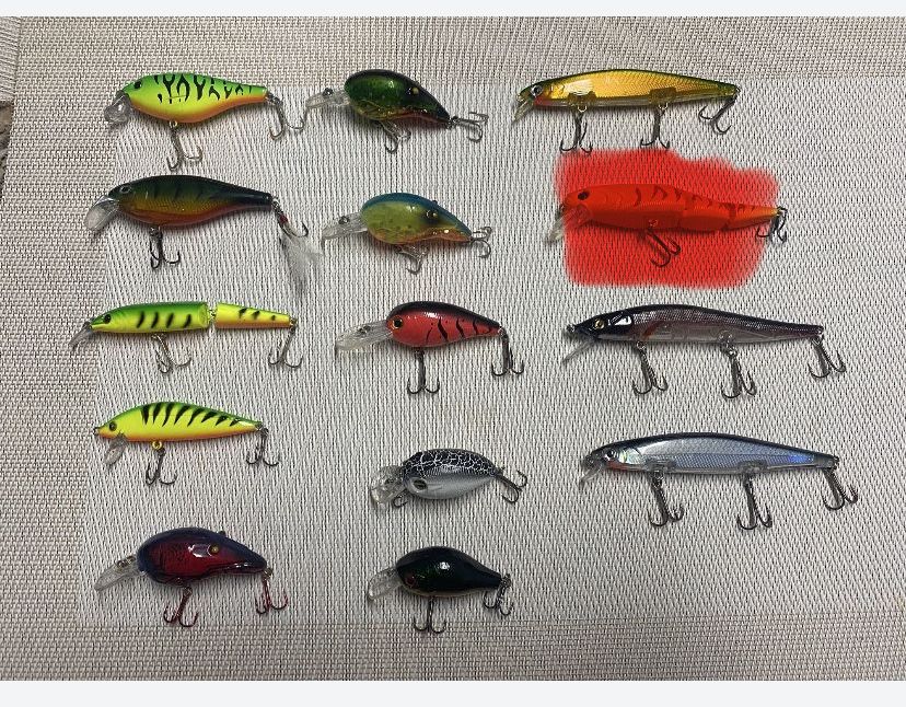 Lote de amostras - Pesca ao Achigã