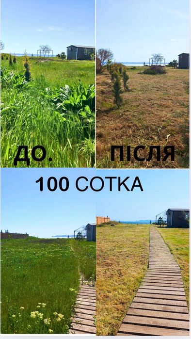 Покос Травы (наберайте на ватсап)  (спил деревьев ) уборка участка