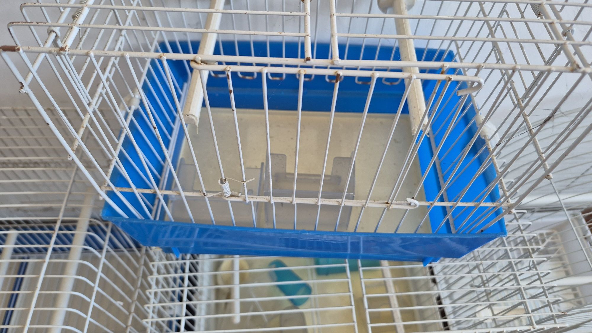 Gaiolas diferentes tamanhos