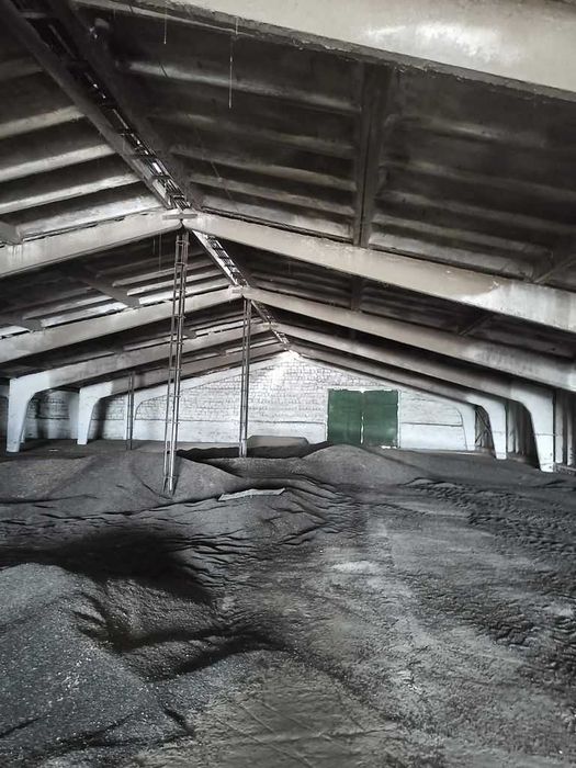 Продаж діючого елеватору, 51 тис. тон.