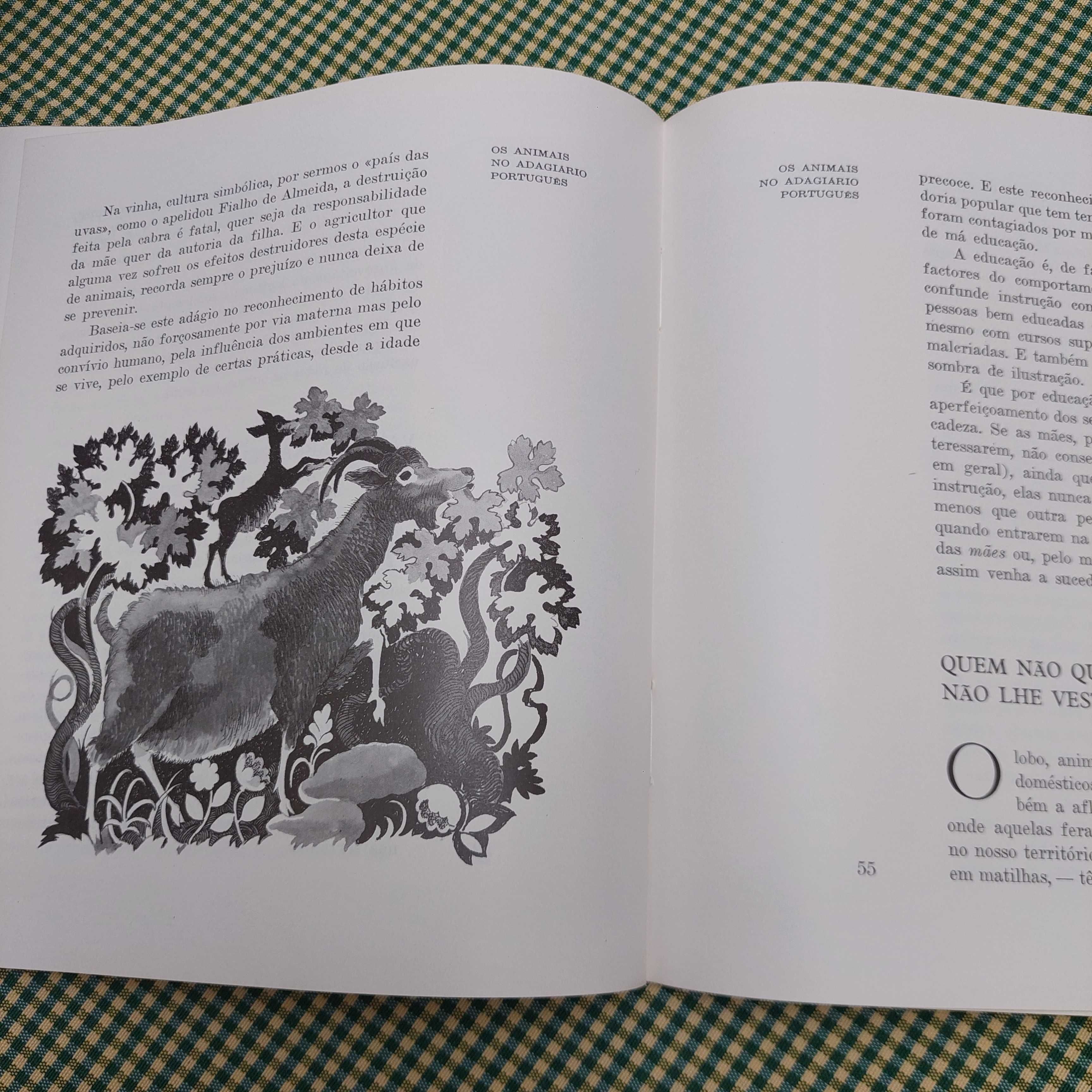 Os animais no adagiário português, de António Jacinto Ferreira