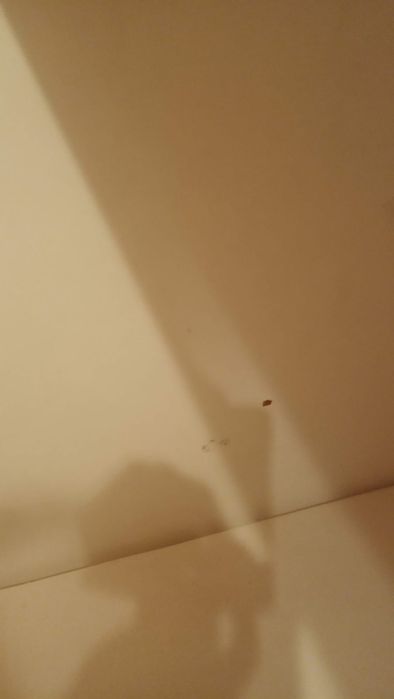 3- osobowe łóżko piętrowe b. sollidne