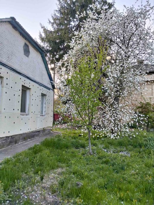 Продам будинок в с. Михайлівка Лебединського району