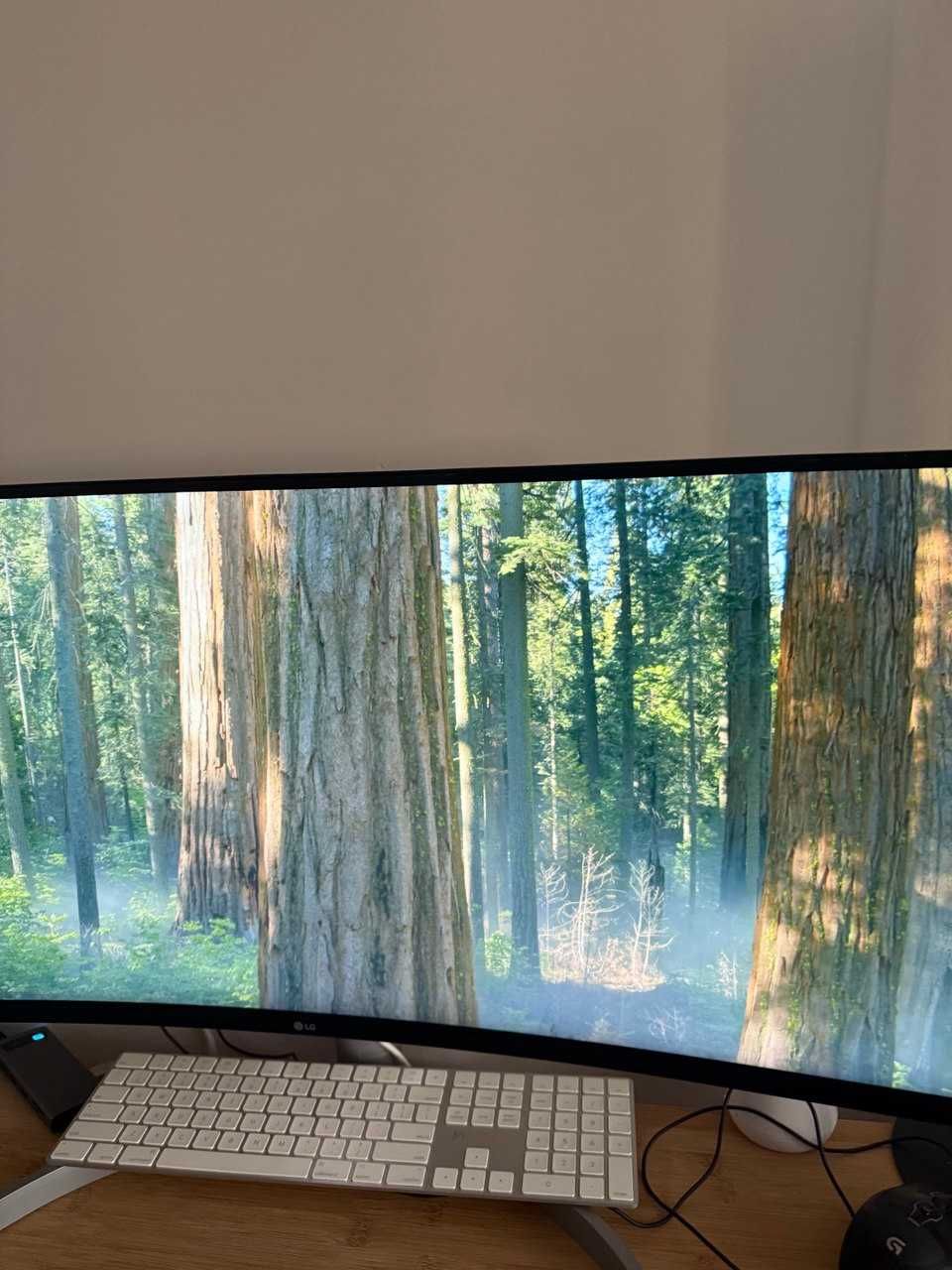 LG UltraWide Monitor Curved