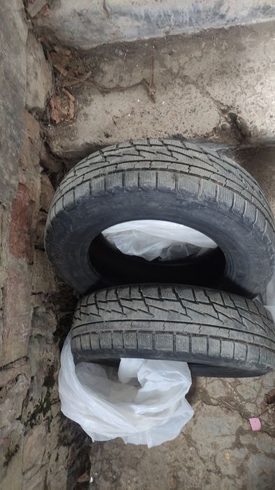 Premiorri Z Plus 195/65/15 2 шт 2024 р