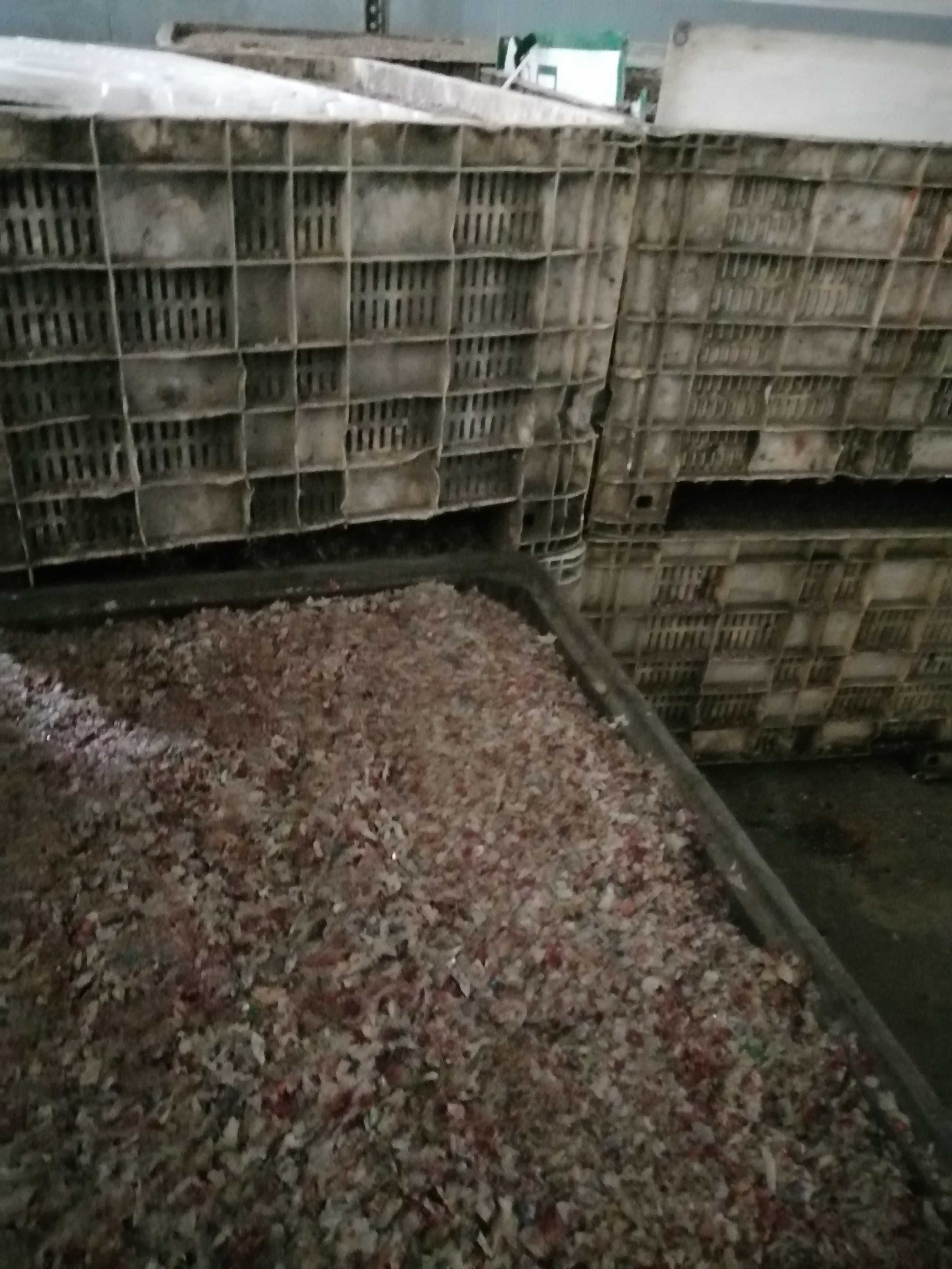 plásticos triturado para reciclagem