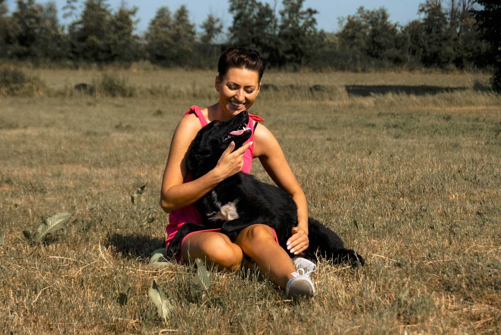 Verano super miły psiak czeka na dom