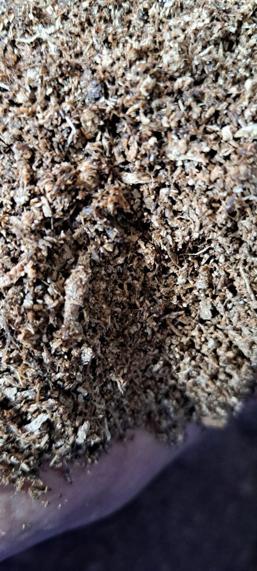 Flake soil pokarm dla larw chrzaszczy