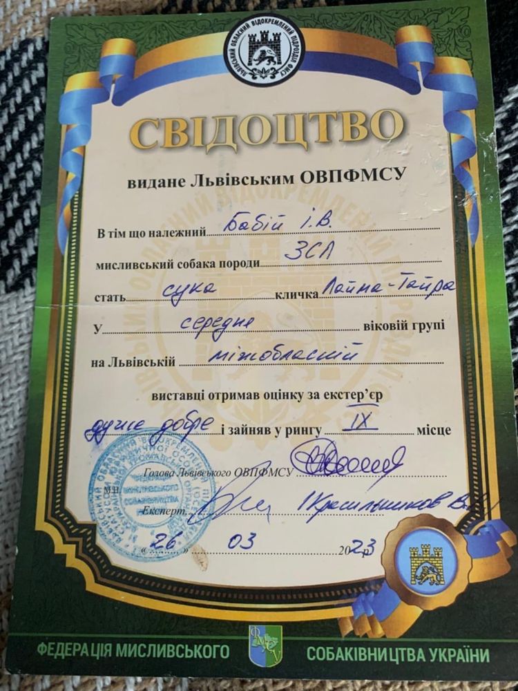Західносибірська лайка