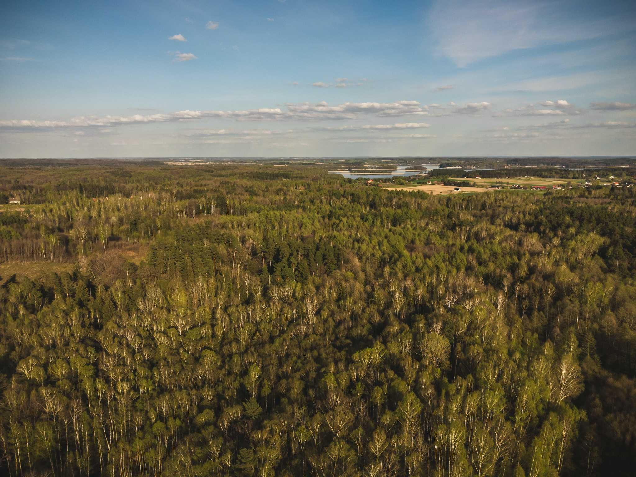 komfortowy Domek do wynajęcia nocleg ferie week wakacje wyposażenie