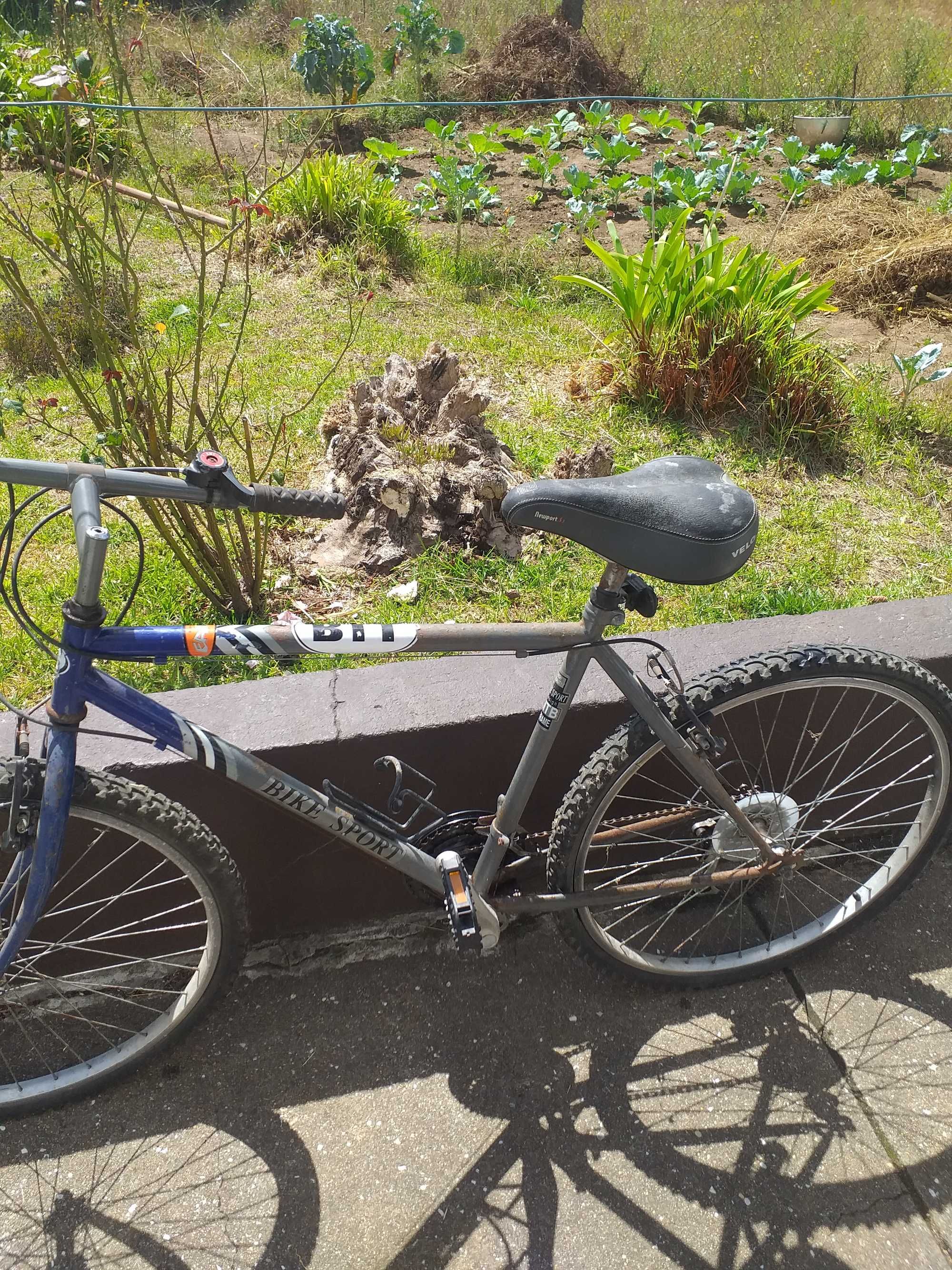 Bicicletas de montanha vintage 50€ cada uma