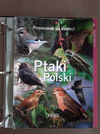 Ptaki polski album segregator