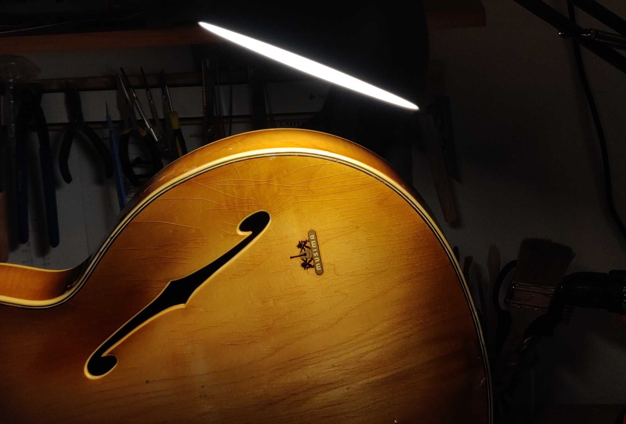 Serwis i Naprawa Gitar, Pracownia Instrumentów, Lutnik Poznań