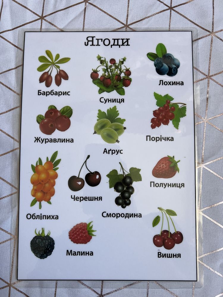 Розвиваючі плакати тварини овочі фрукти