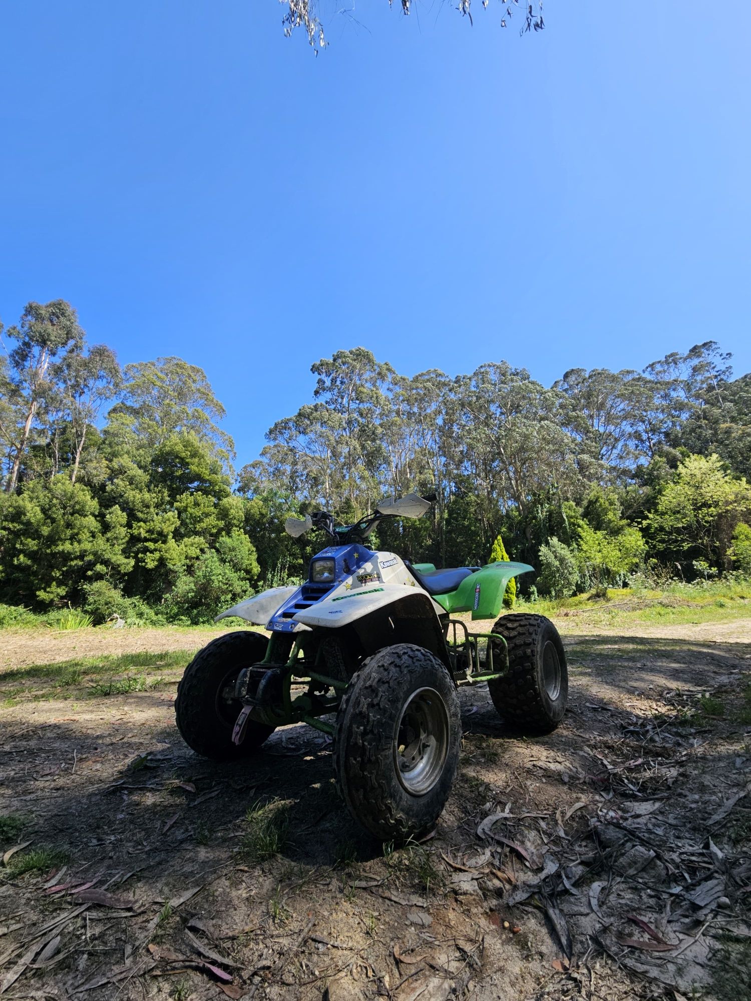 Kawasaki ksf 250 Mojave moto4
