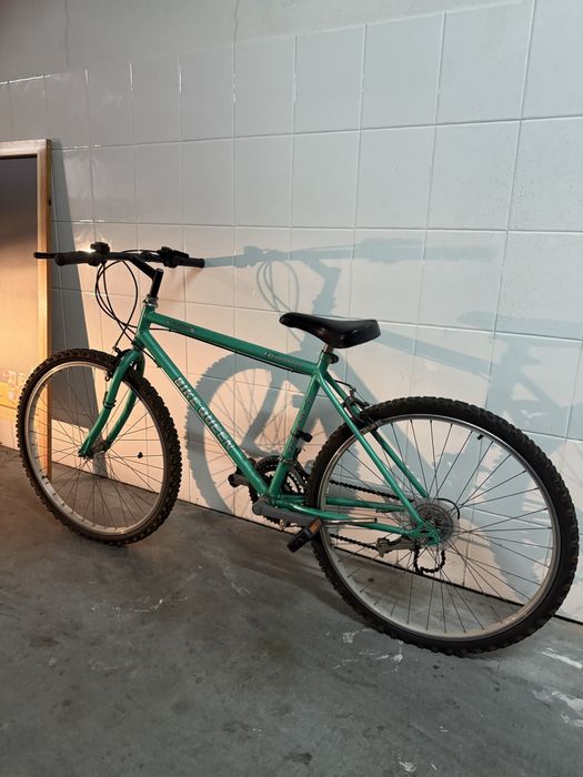 Bicicleta para adulto verde