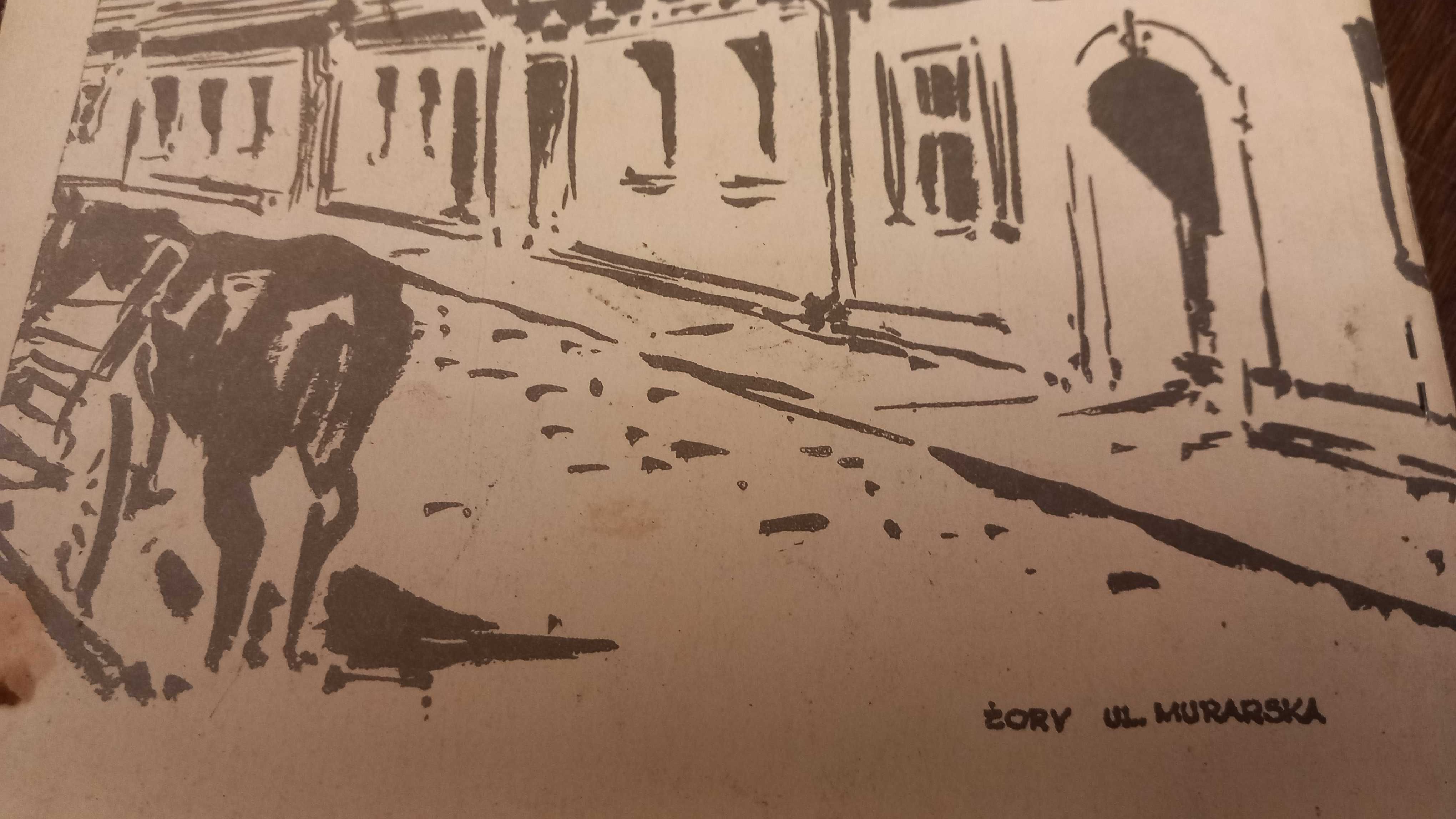 Informator Żory TMMŻ 1978 Książka Żory 1978 unikat antykwariat