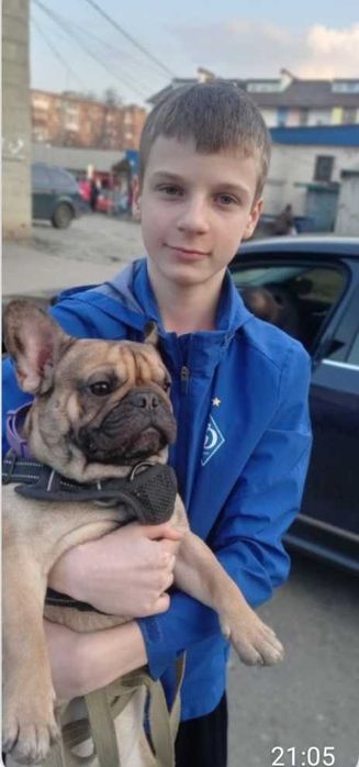 Рудий хлопчик, кастрований.