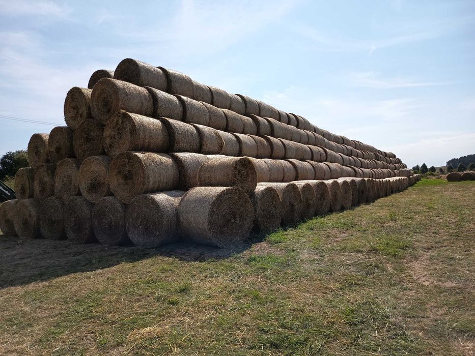 Baloty słoma 130cm.