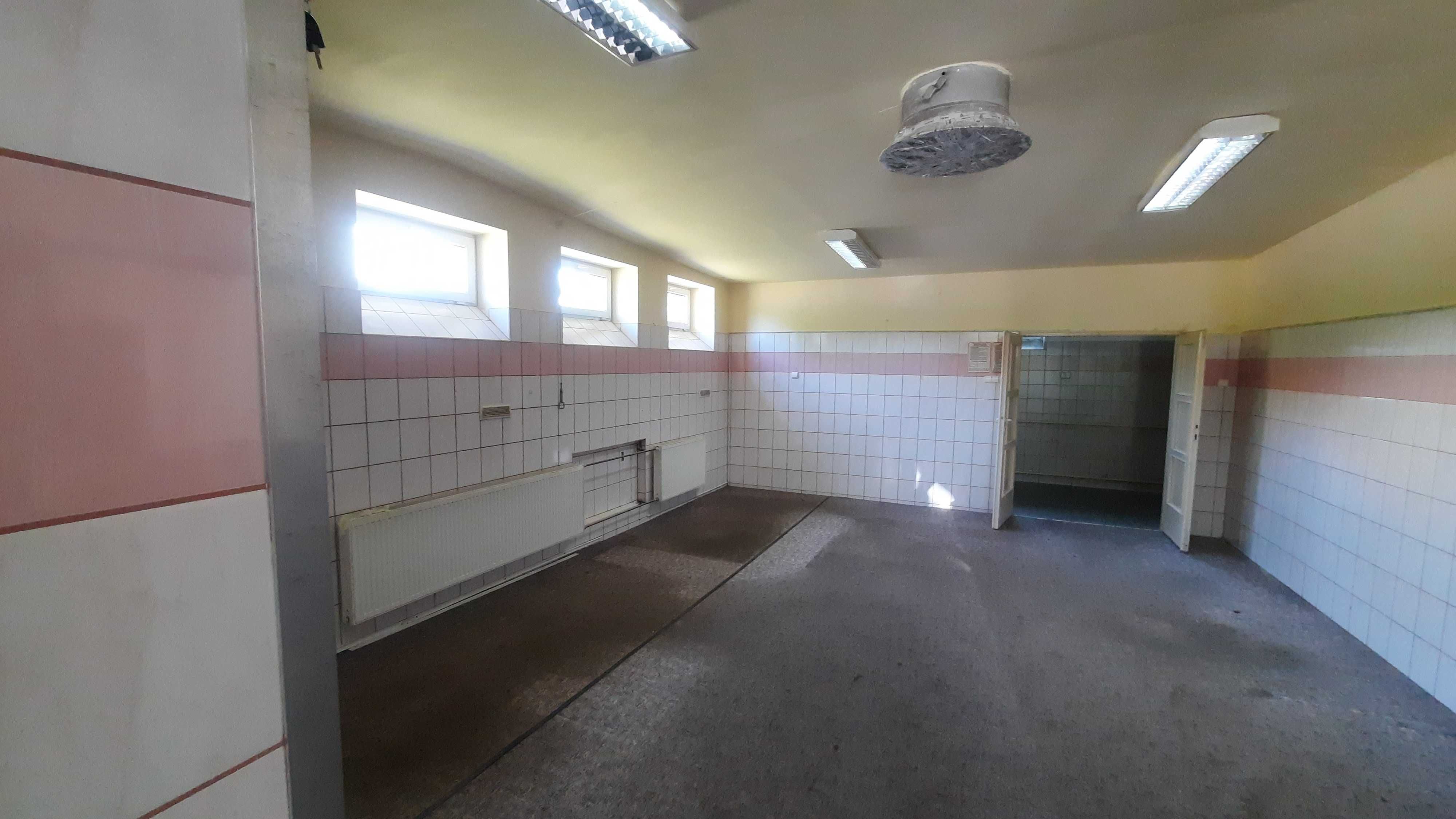 Lokal 361 m kw, w tym dwie hale po 90 m kw. rampa załad., Krzeszowice