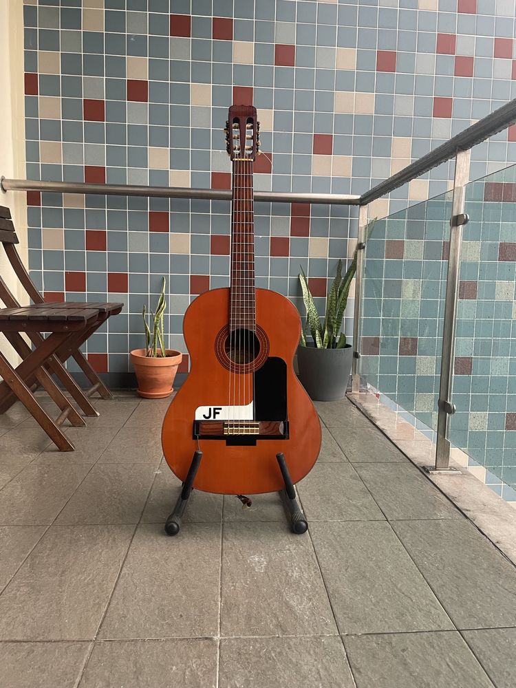 Guitarra ovation