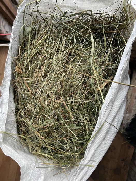 Sianko ekologiczne 4 kg