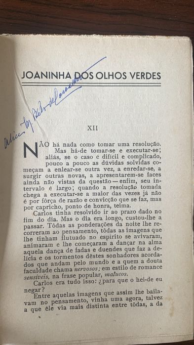 Joaninha dos olhos verdes