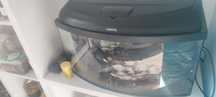 Akwarium dla rybek 45l
