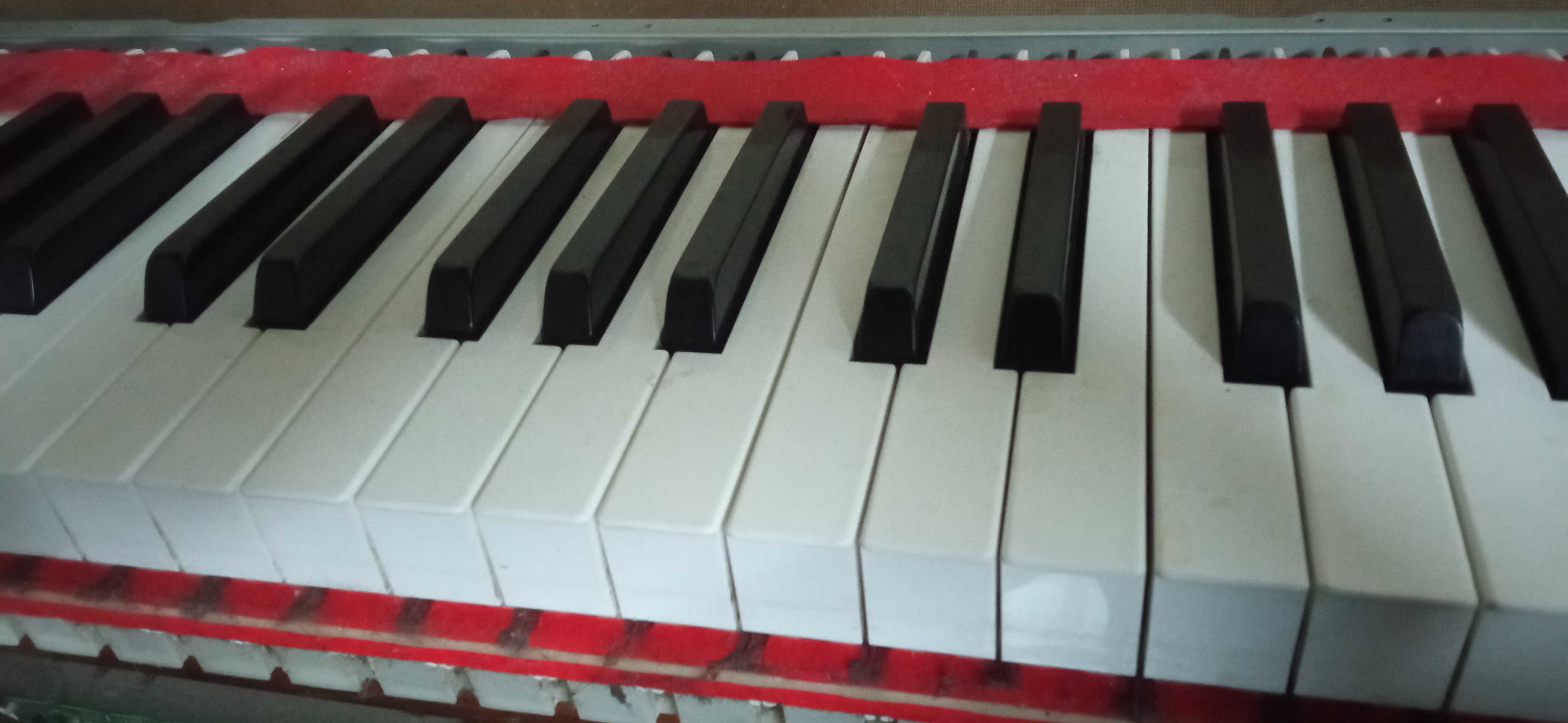 Клавиатуры Casio AP, PX S, Yamaha CVP, CLP, Piano nova.