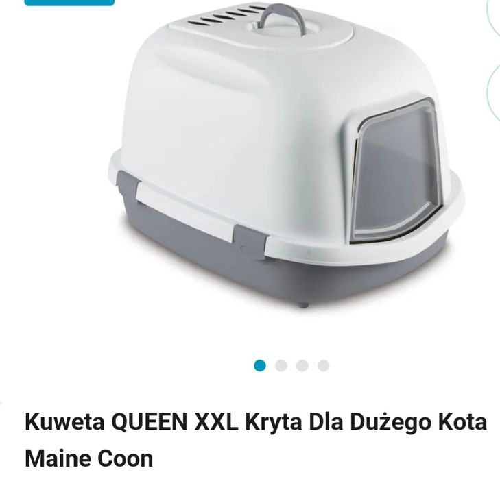 Duża kuweta xxl dla dużych kotów kota kot kuweta