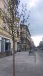 MicroAkademik w Centrum