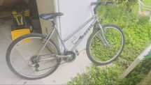 Bicicleta Marvil senhora