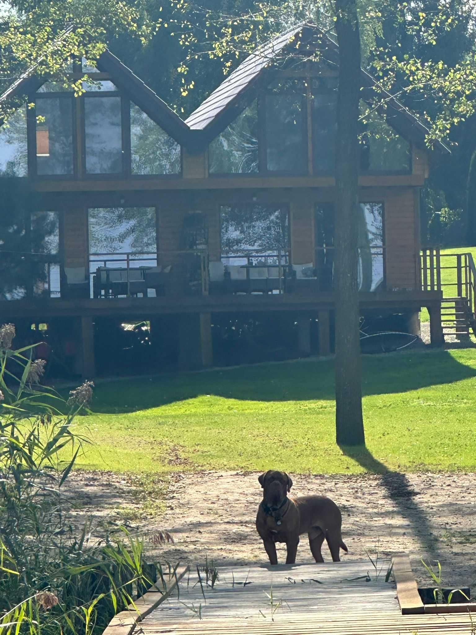 Domek nad jeziorem z linią brzegową Mazury OKAZAJ