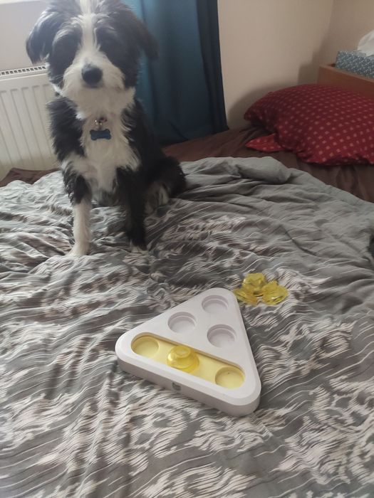 Zabawka dla psa z do jedzenia