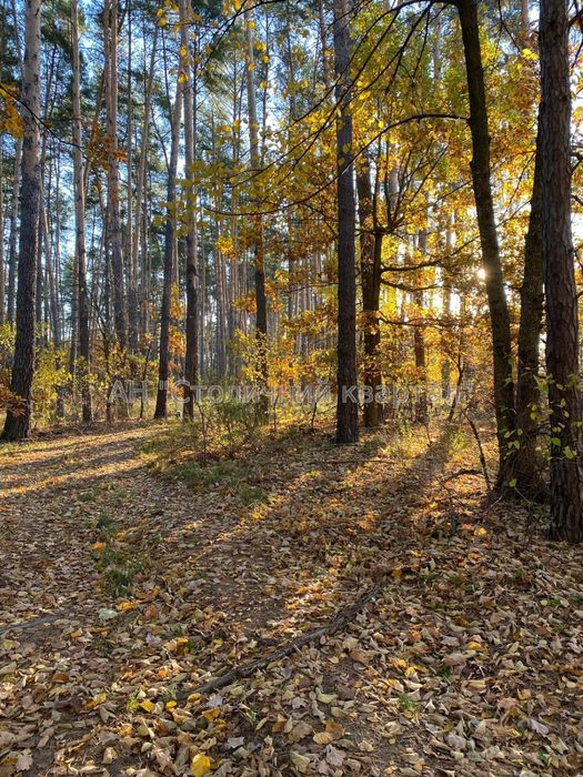 Продам дачу в садовому товаристві Жолудь.