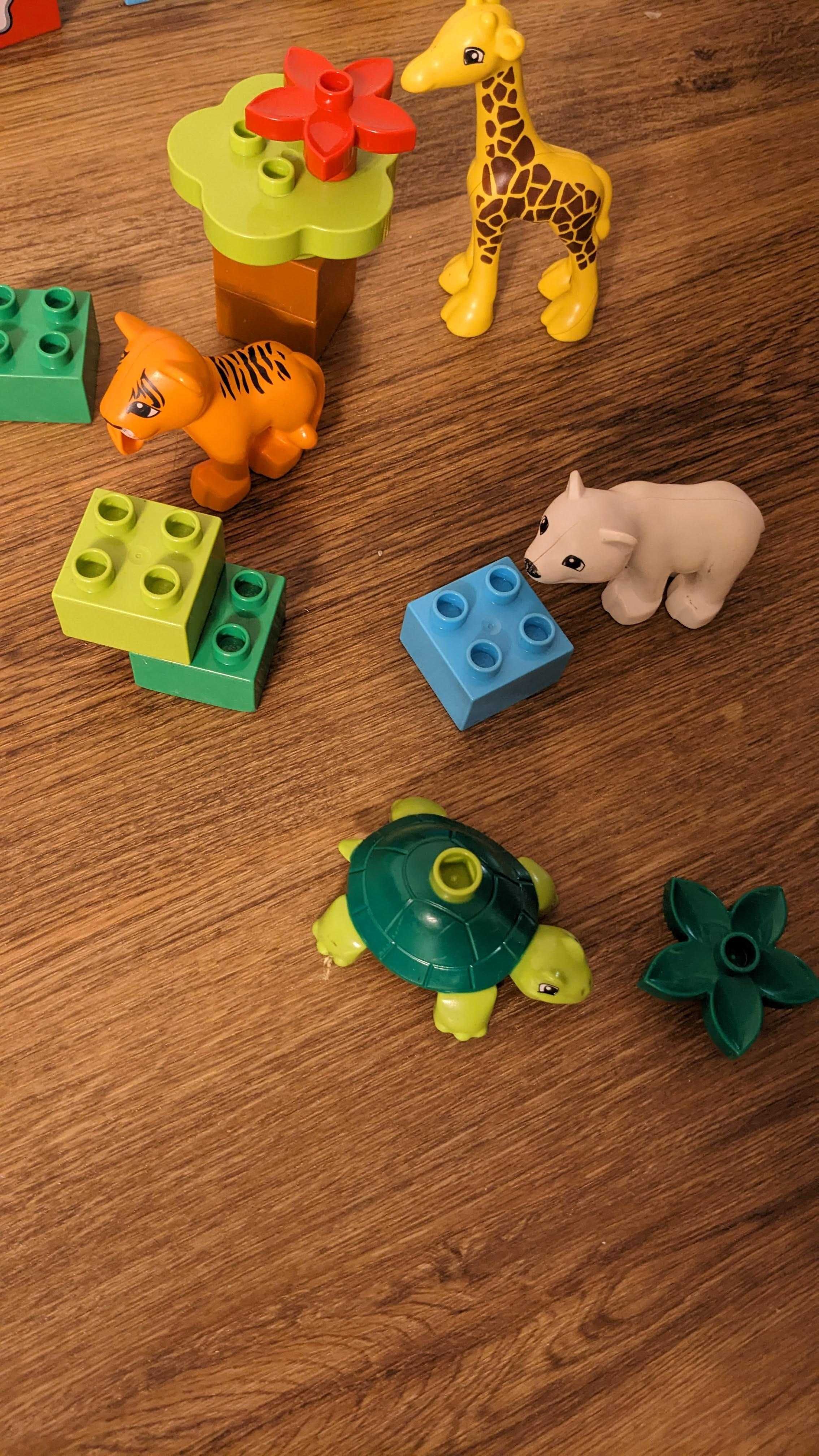 DUPLO 10801 Zwierzątka zoo z dookoła świata - kompletny; inne zestawy