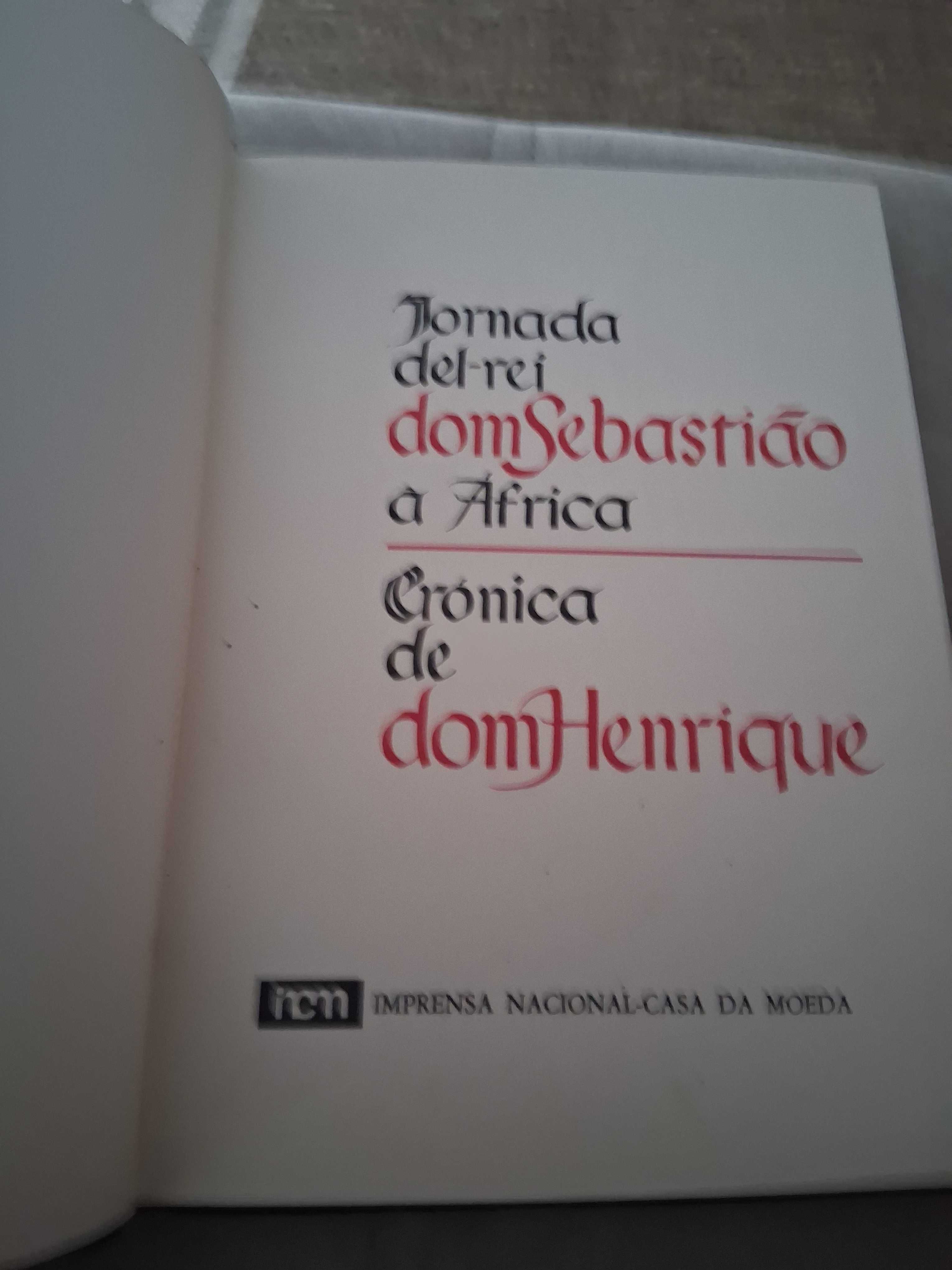 Jornada Del-Rei Dom Sebastião à África, Crónica de Dom Henrique