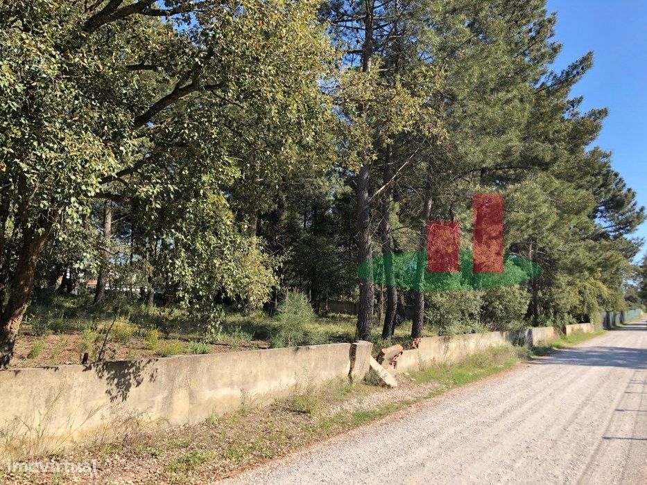 Terreno com Viabilidade Construção até 2 Moradias em Azeitão