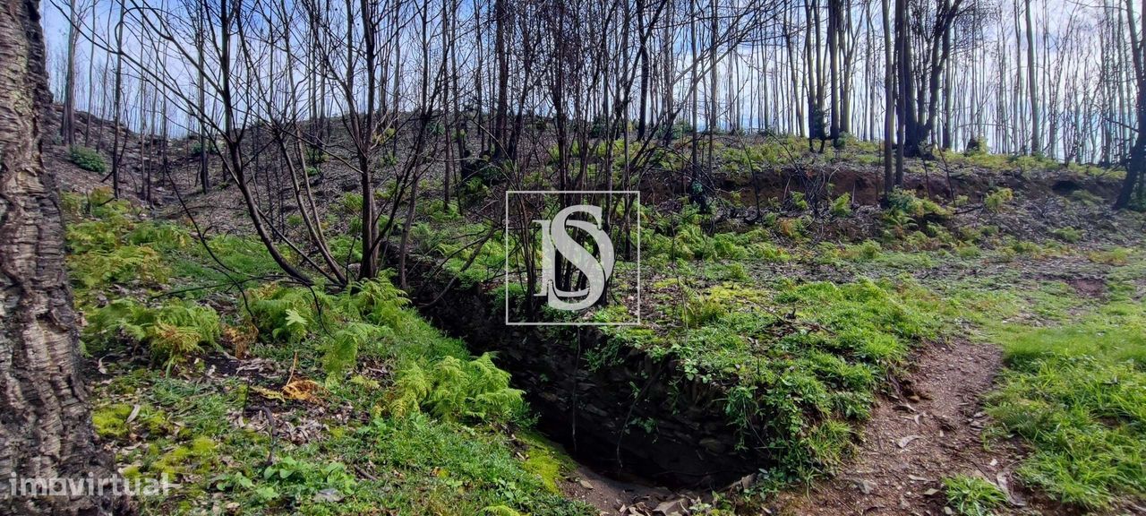 Terreno de 2,4Ha em Melres