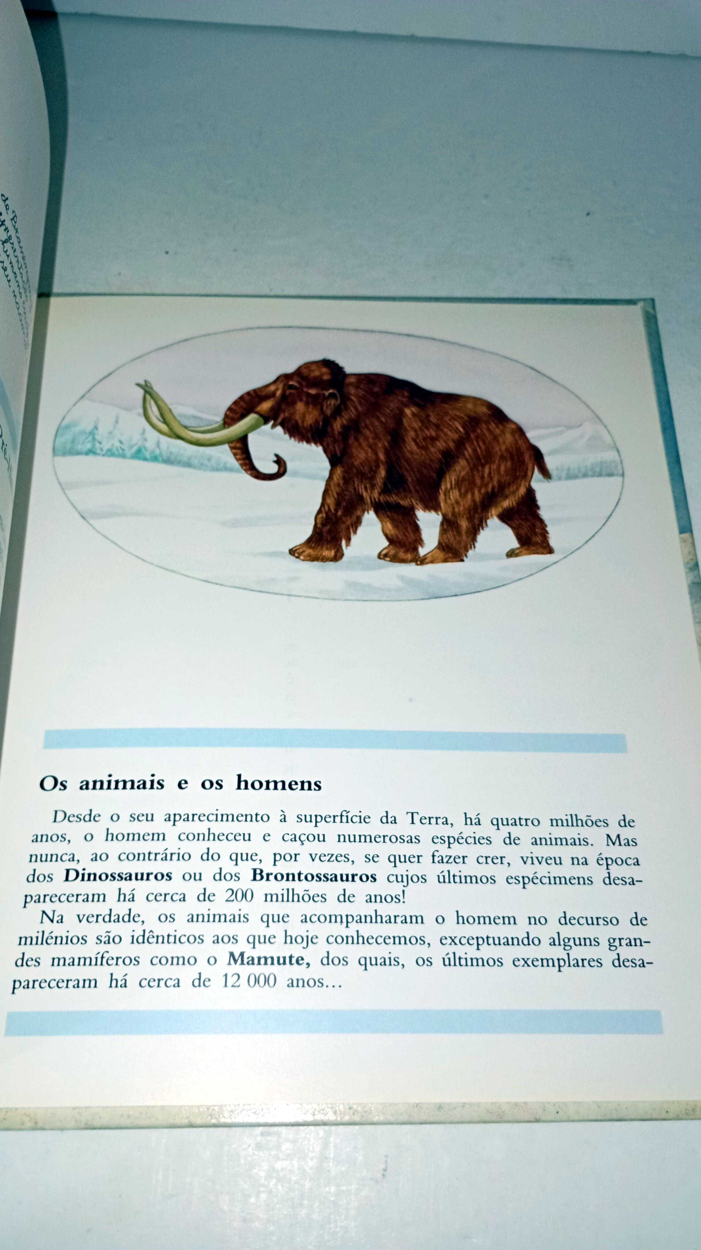 No Tempo das Cavernas