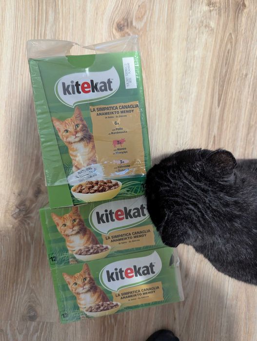 KITEKAT kawałki mięsa w sosie 48x85g saszetki mokra karma dla kota