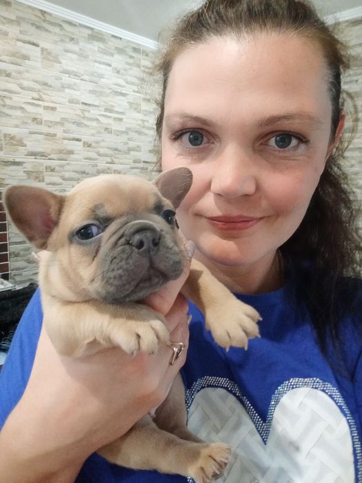 Шикарные карапузики ждут родителей