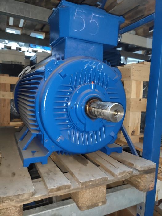 Silnik elektryczny 45 kW 55 kW 75 kW 700 obr 900 obr 1400 obr 2900 rpm