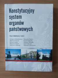 Książka Konstytucyjny System Organów Państwowych