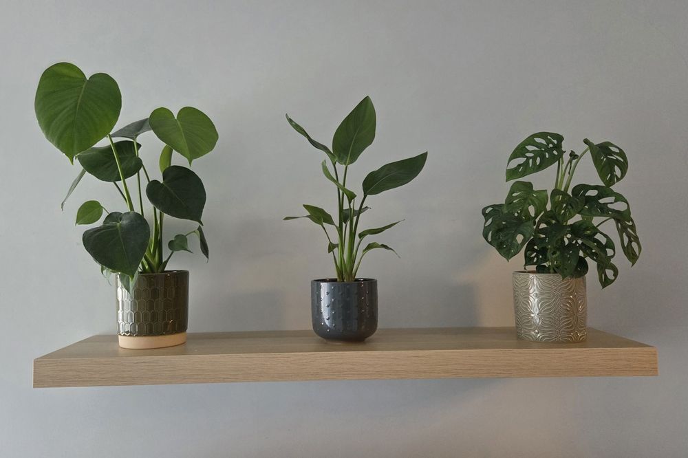 Półka IKEA Lack nowa z uszkodzeniem