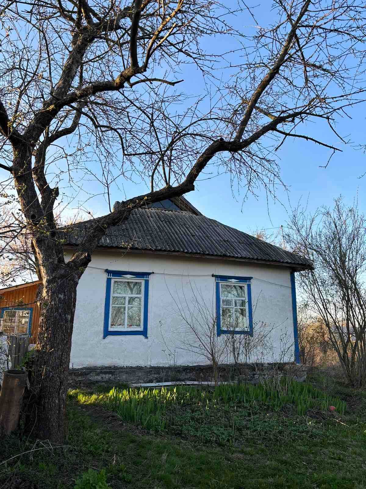 Продається будинок в с.Степанівка Київська область