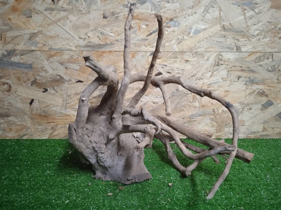 Korzeń do akwarium Red Moore Wood nr 726 o wymiarach 36/24/35